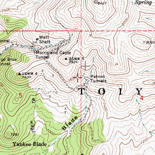 Topographic Map of Patriot Tunnels, NV