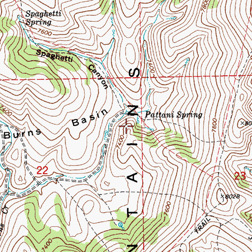 Topographic Map of Pattani Spring, NV
