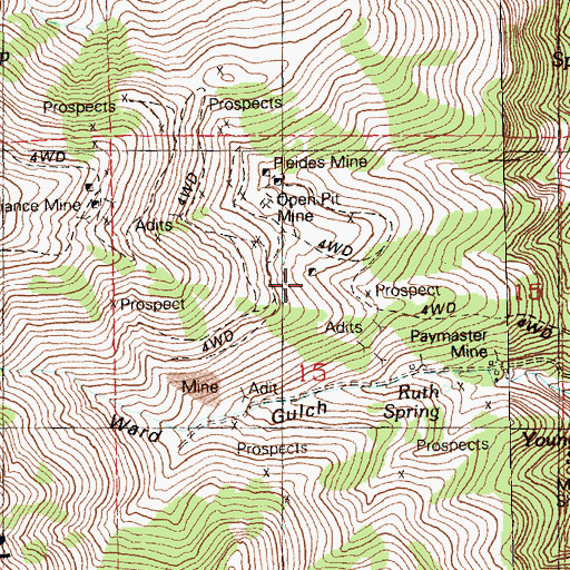 Topographic Map of Paymaster Mine, NV