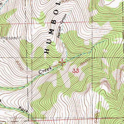 Topographic Map of Peacock Canyon, NV