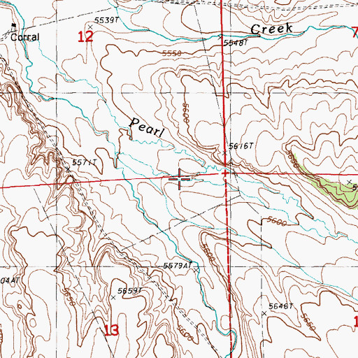 Topographic Map of Pearl Creek, NV