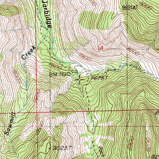 Topographic Map of Perkins Cabin, NV