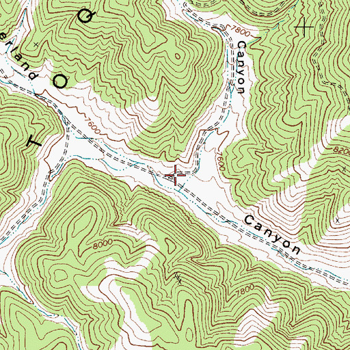 Topographic Map of Perkins Canyon, NV