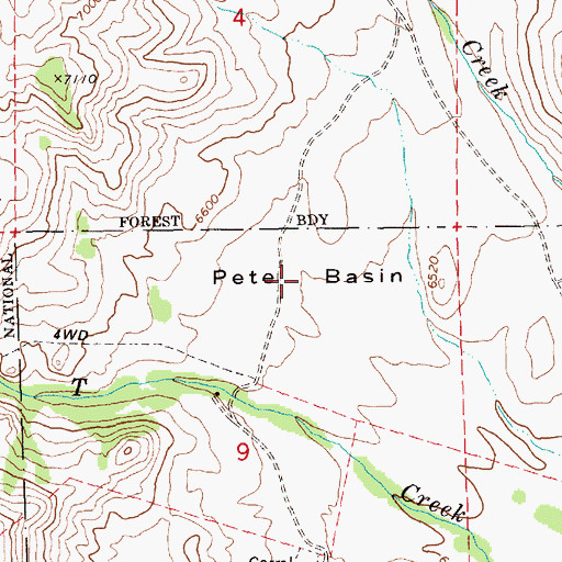 Topographic Map of Pete Basin, NV