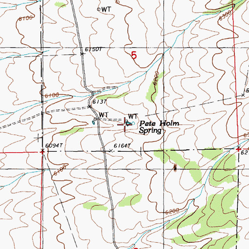 Topographic Map of Pete Holm Spring, NV