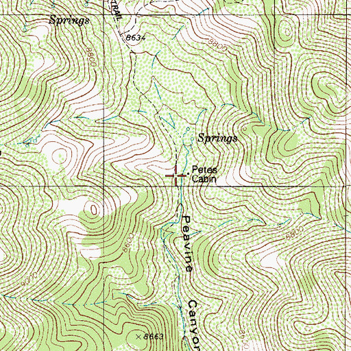 Topographic Map of Petes Cabin, NV