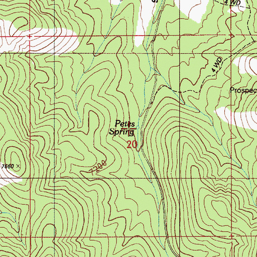 Topographic Map of Petes Spring, NV