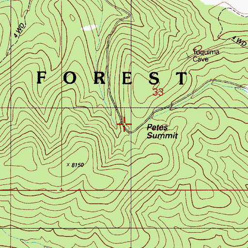 Topographic Map of Petes Summit, NV