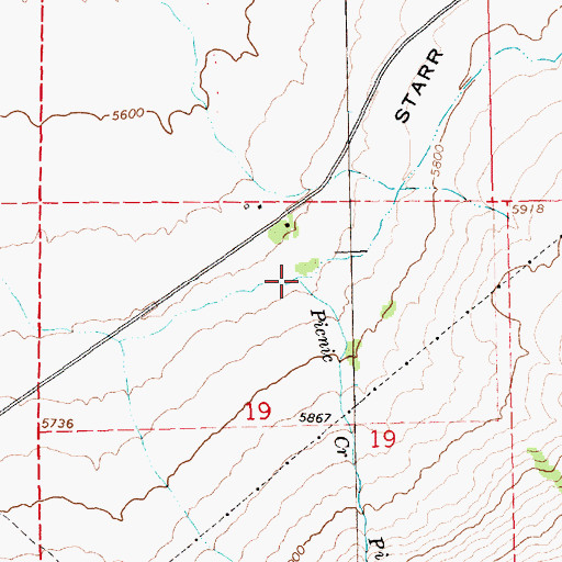 Topographic Map of Picnic Creek, NV