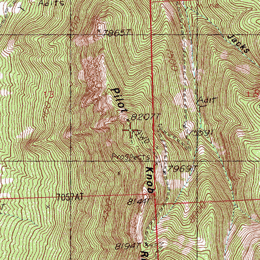 Topographic Map of Pilot Knob Ridge, NV