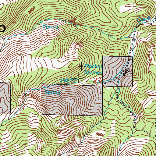 Topographic Map of Pinchot Springs, NV