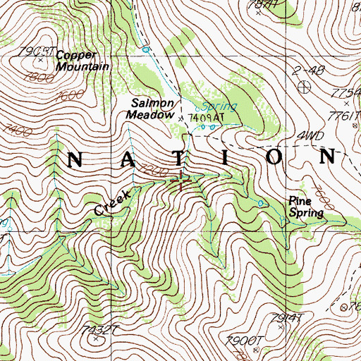 Topographic Map of Pine Spring, NV