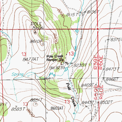 Topographic Map of Pole Creek Ranger Station, NV