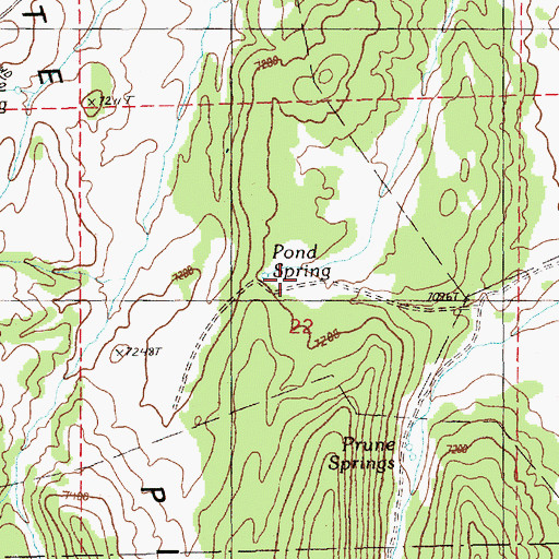 Topographic Map of Pond Spring, NV