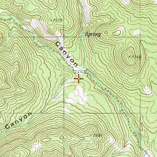 Topographic Map of Poplar Canyon, NV