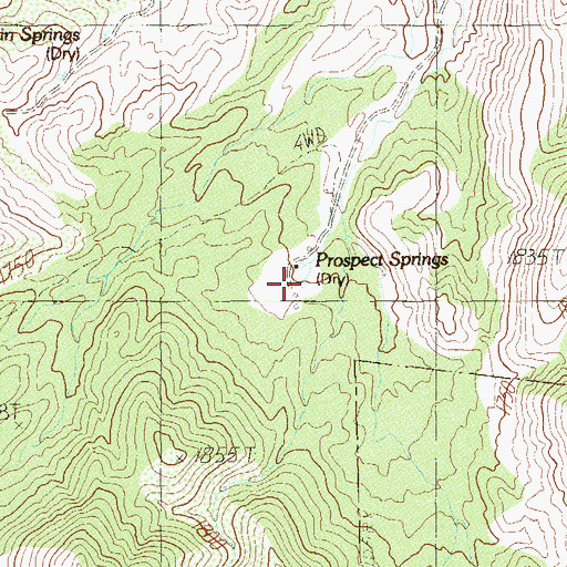 Topographic Map of Prospect Springs, NV