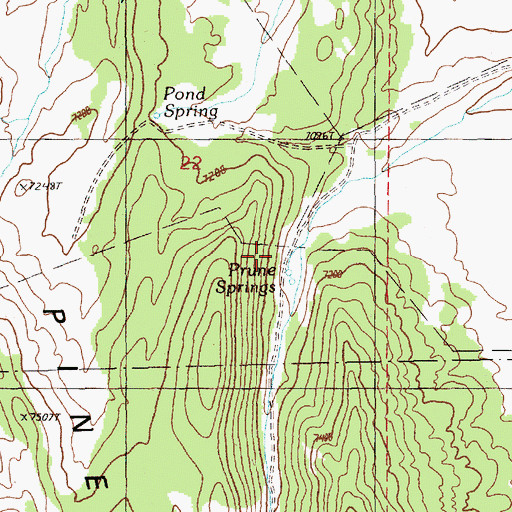 Topographic Map of Prune Springs, NV