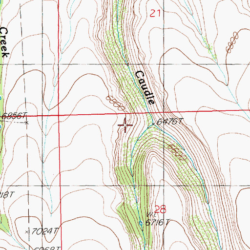Topographic Map of Raker Creek, NV