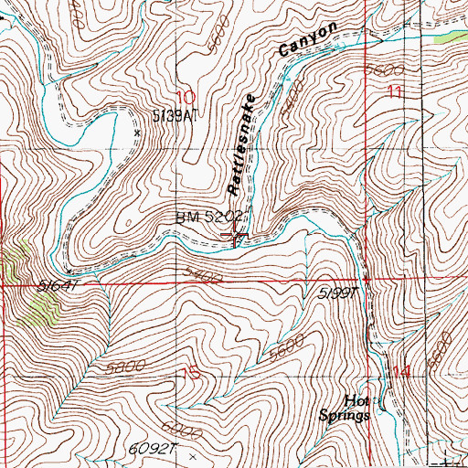 Topographic Map of Rattlesnake Canyon, NV