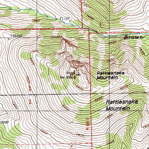 Topographic Map of Rattlesnake Mountain, NV