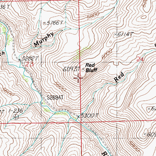 Topographic Map of Red Bluff, NV