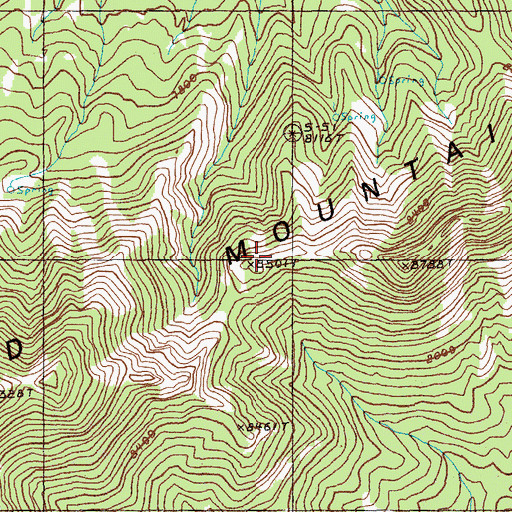 Topographic Map of Red Mountain, NV