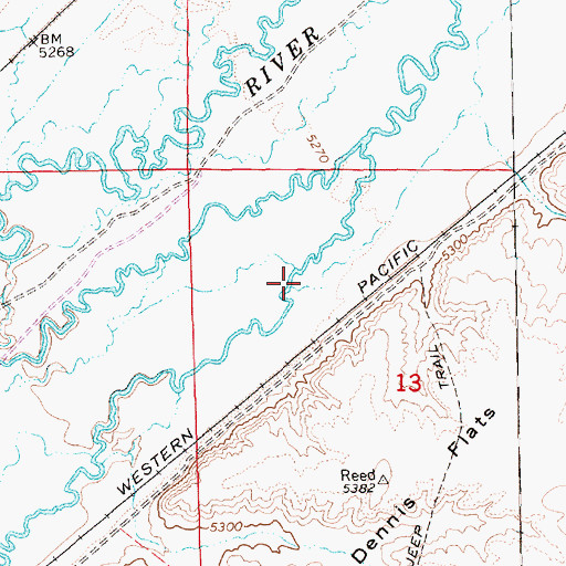 Topographic Map of Reed Creek, NV