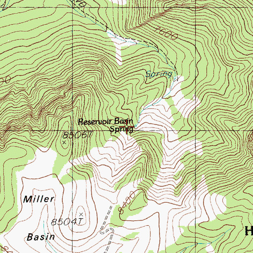 Topographic Map of Reservoir Basin Spring, NV