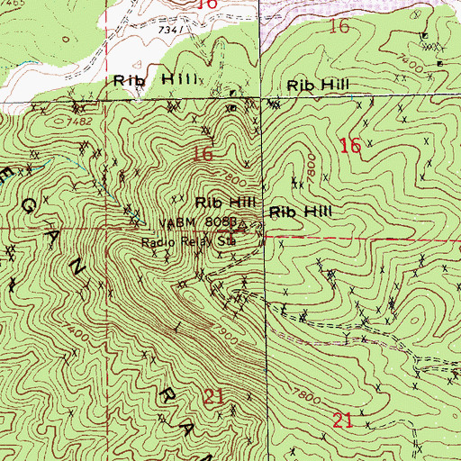 Topographic Map of Rib Hill, NV