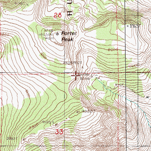 Topographic Map of Riddle Mine, NV