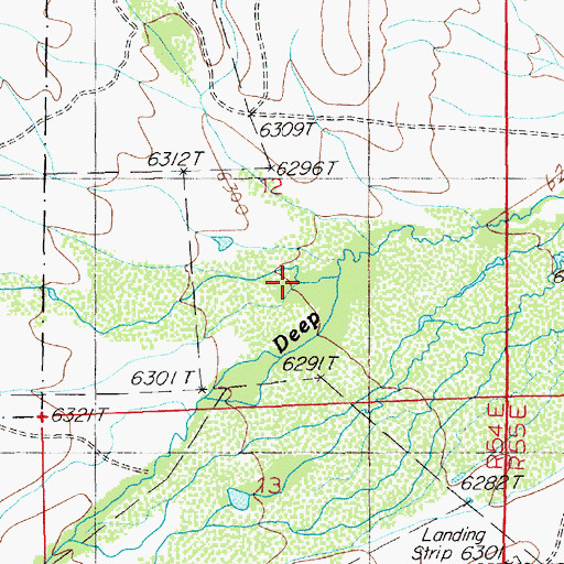 Topographic Map of Riffe Creek, NV