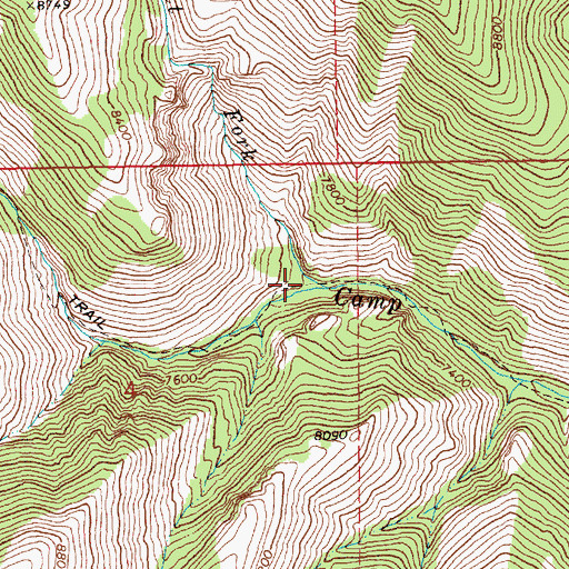 Topographic Map of Right Fork Camp Creek, NV
