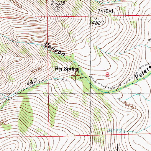 Topographic Map of Rim Canyon, NV