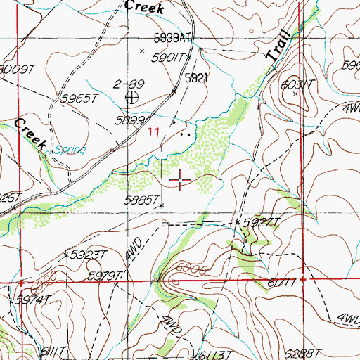 Topographic Map of Road Canyon, NV