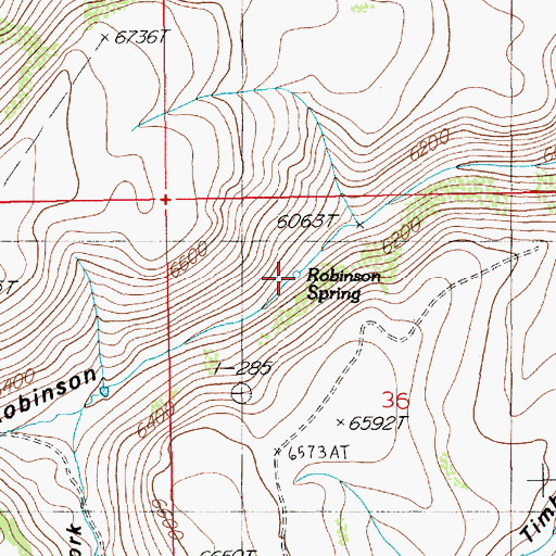 Topographic Map of Robinson Spring, NV
