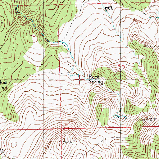 Topographic Map of Rock Spring, NV