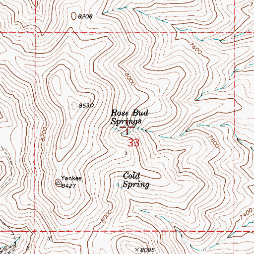 Topographic Map of Rose Bud Springs, NV