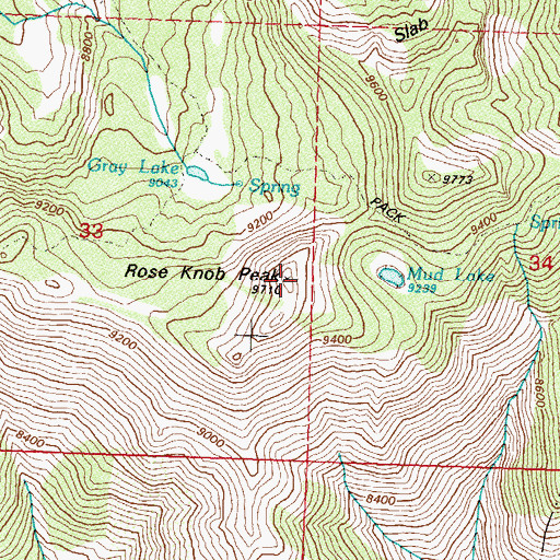 Topographic Map of Rose Knob Peak, NV