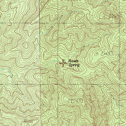 Topographic Map of Roses Spring, NV