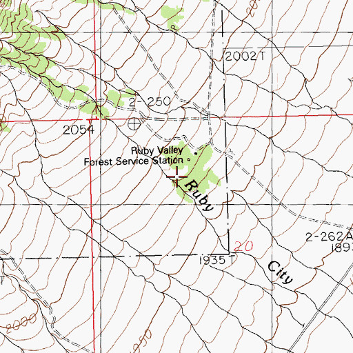 Topographic Map of Ruby Valley Forest Service Station, NV