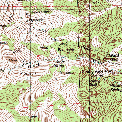 Topographic Map of Ruth Spring, NV
