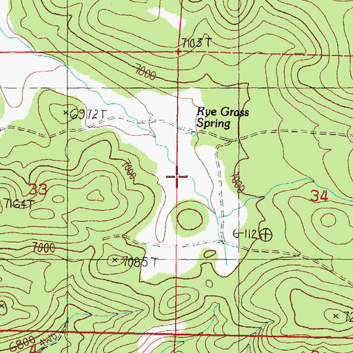 Topographic Map of Rye Grass Spring, NV