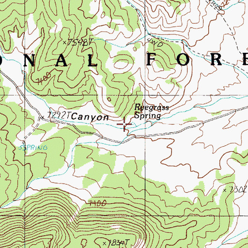 Topographic Map of Ryegrass Spring, NV