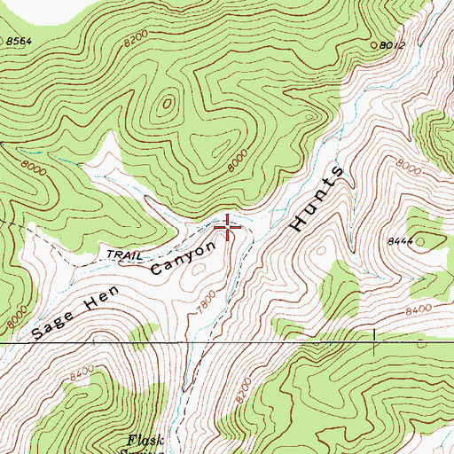 Topographic Map of Sage Hen Canyon, NV