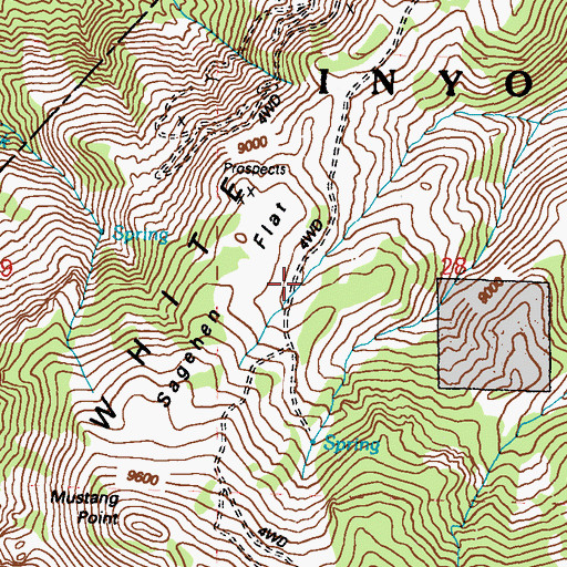 Topographic Map of Sagehen Flat, NV
