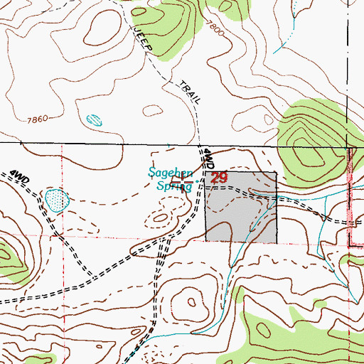Topographic Map of Sagehen Spring, NV