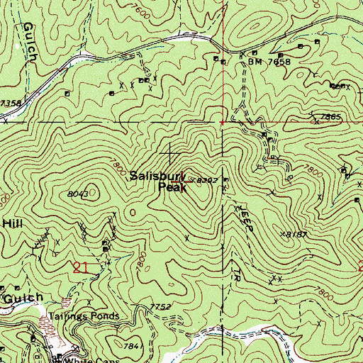 Topographic Map of Salisbury Peak, NV