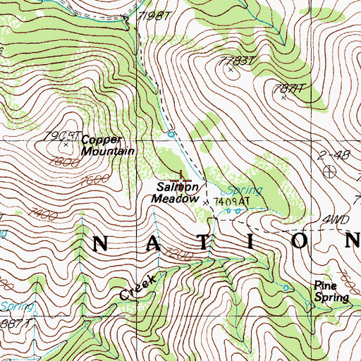 Topographic Map of Salmon Meadow, NV