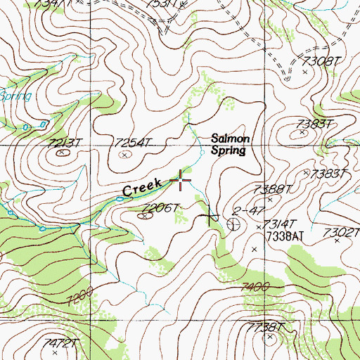 Topographic Map of Salmon Spring, NV