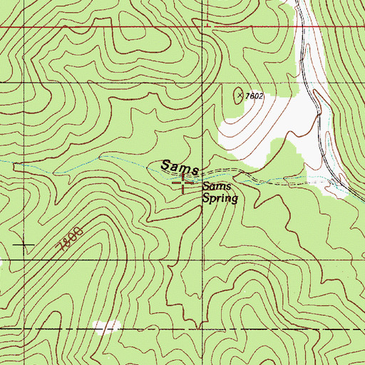 Topographic Map of Sams Spring, NV